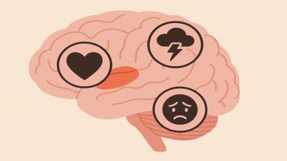 emotional dysregulation in children and brain-based emotion regulation pathways