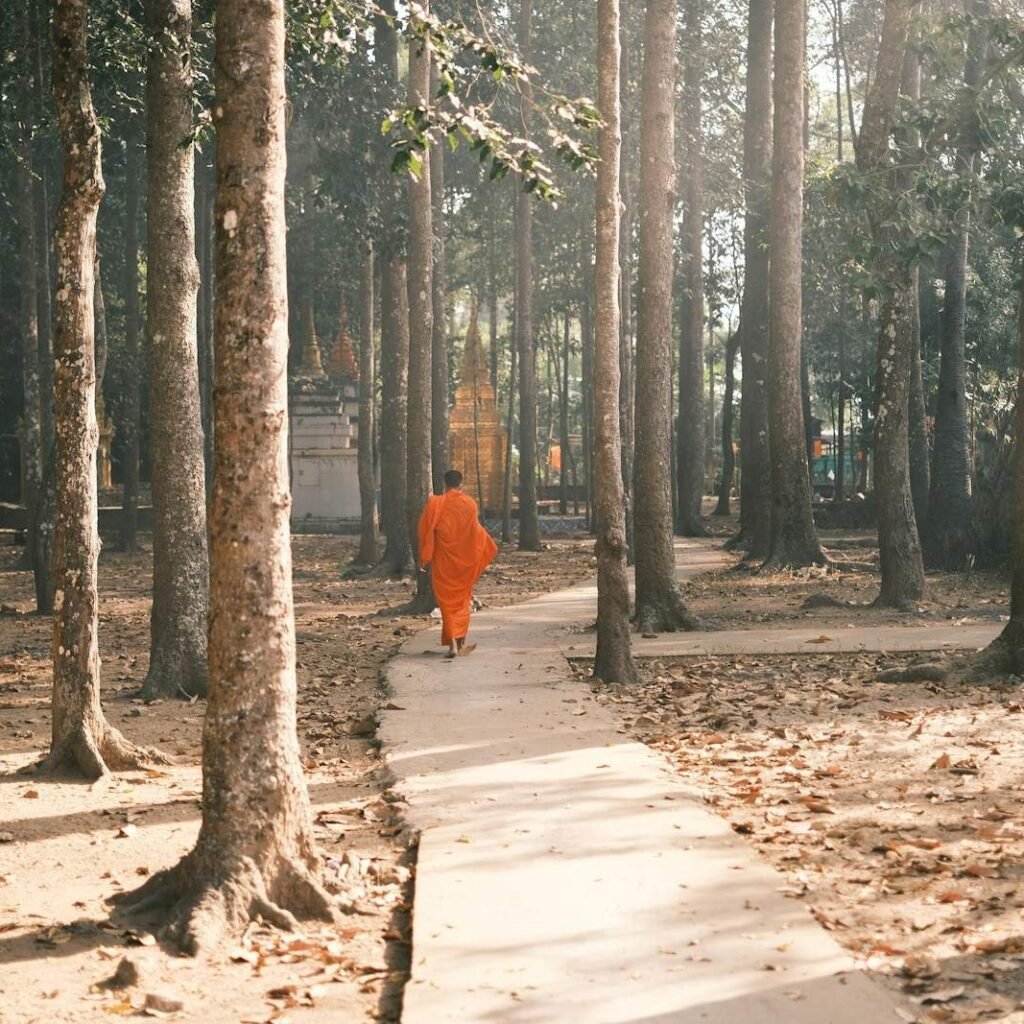 Meditation 101 beginners walking practice nature mindfulness